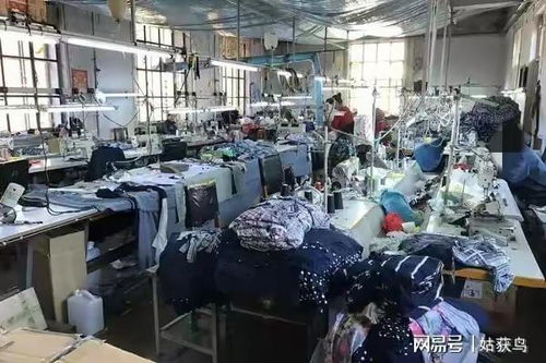 牡丹江一大型工廠二拍遇冷，1044.7萬元無人問津的背后